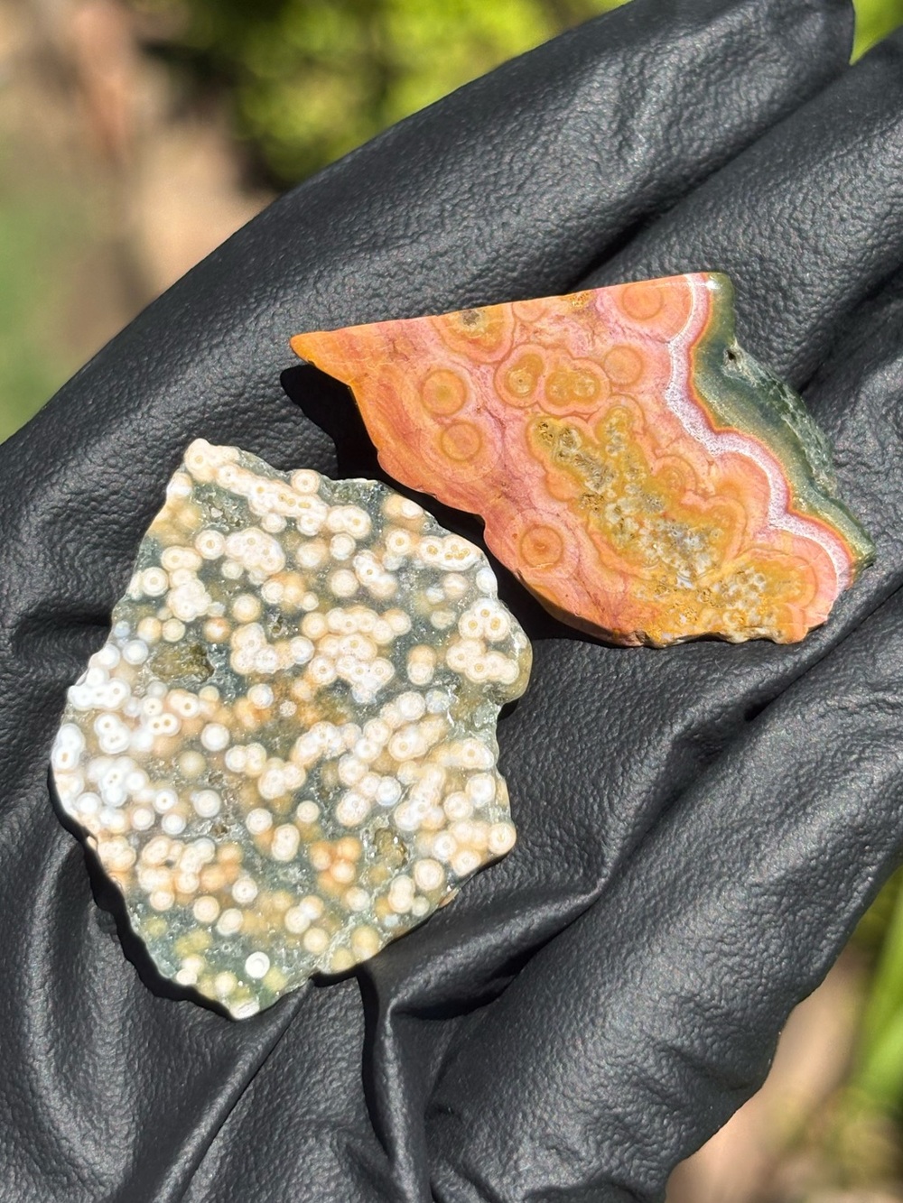 Ocean Jasper Crystal Set - Polished Sea Jasper - Orbicular Jasper Bundle